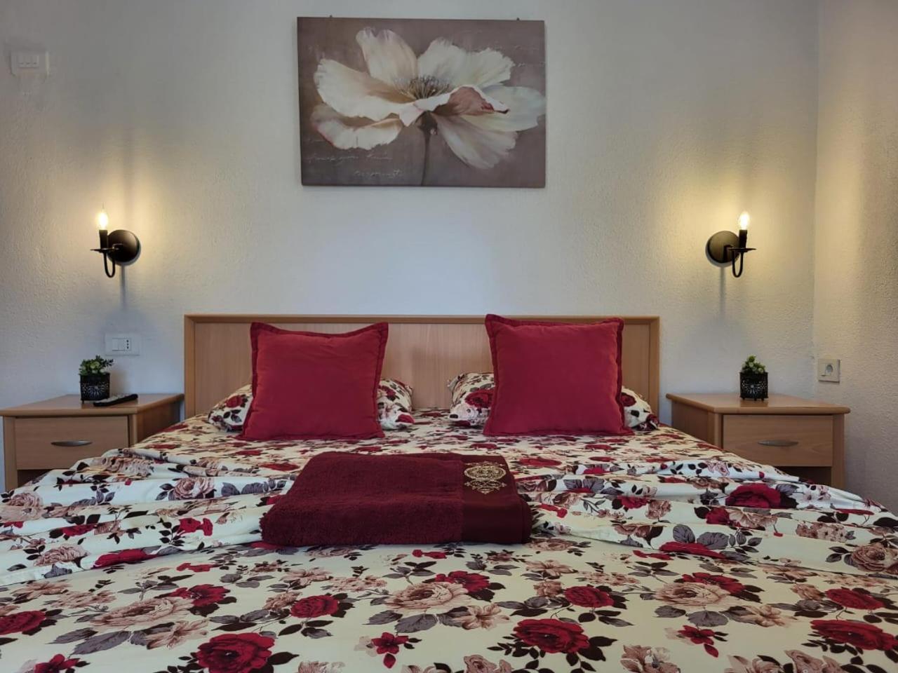 Apartments Ardoni 울친 외부 사진